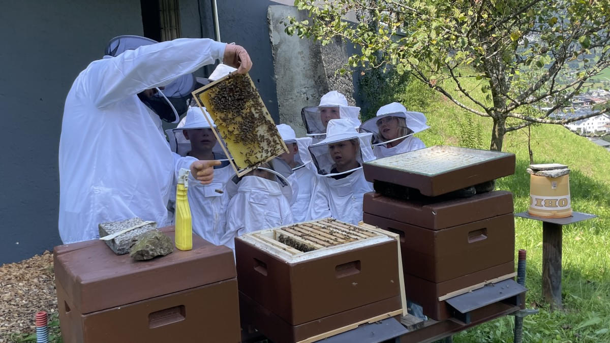 Ferien2024-Bienen